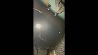 CUPSIZE - весна (Snippet 13.11.24)