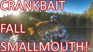 Fall Smallmouth on Crankbaits! How to catch smallmouth bass on crankbaits