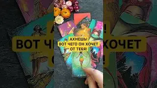 Хочет ли он встречи с тобой?