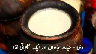 Dahi ke bare mein | Dahi ke bare mein jaankari | Dahi ke faayde | Research Era