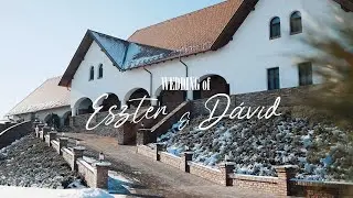 Wedding of Eszter & Dávid | Highlight video
