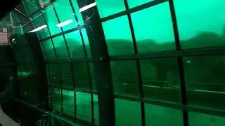 Musofir , Dilyorbek To'rayev. Мусофир , Дилёрбек Ту́раев.