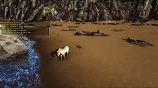 escape