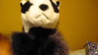 To the Dragon Quest fans - message from bad badger -