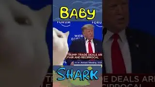 Trump Sings Baby Shark do do do do do do 🎶