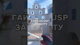 ГАЙД НА USP ЗА МИНУТУ В STANDOFF 2 // 