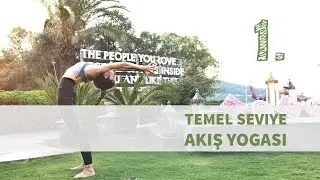 Temel Seviye AKIŞ YOGASI ♥ Her Yerde Yoga Serisi  1