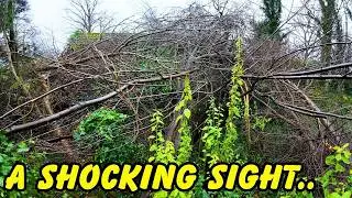 Trees left resting on her Roof! Helping Barbara &  2023 EPIC Cleans!