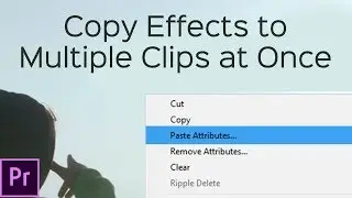 Copy Effects to MULTIPLE CLIPS at once in PREMIERE - Paste Attributes