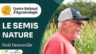 SEMIS NATURE : semer à la volée sans travail du sol, Noël Deneuville - Journée Séguy 2024