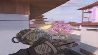 The most insane standoff 2 player…