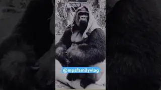 Desi Bhabhiji 🤣😂#shorts #funnyshorts #comedy #memes #ytshorts #youtubeshorts #mpsfamilyvlog