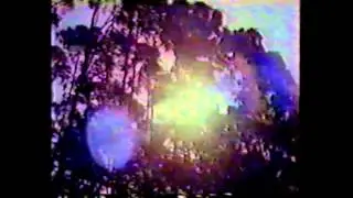 Peter Tosh -  Swaziland News Footage Dec. 1983 Rare