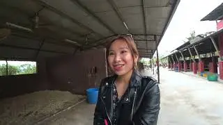Kiaraa Kitty's Friend Melissa Jump Scared By Horse