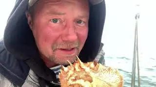 Пашков Камчатка 2020