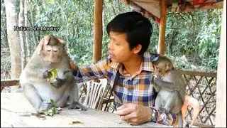 PaPa Song give honest lovely Leyla and Lucas, Cute boy Lucas and Mom Leyla happy much