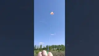 Со змеем как в бизнесе. Самое главно поймать нужный ветер. IIITOMIII  бренд одежды с которым легко.