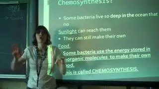 Chemosynthesis