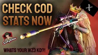 How to check MW3 player stats! 🤩