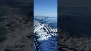 Ocean view from boat | Ocean  wave #shorts