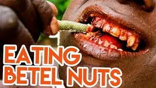 EATING BETEL NUTS | ADDICTIVE PLANT IN INDONESIA | TRAVEL VLOG