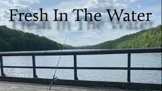 Garage Band: Fresh In The Water (Full Album)
