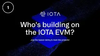 IOTA EVM Launch - Speed Dating Ecosystem Projects Part 1