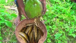 Fishing with coconut | The son of the village ate coconut and strategically caught fish | SA Fishing