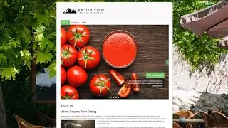 How to Create a Wordpress Website from Scratch