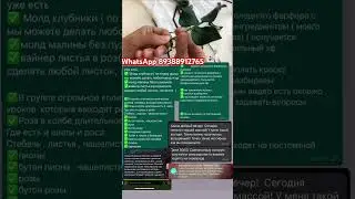 #холодныйфарфор рецепт холодного фарфора