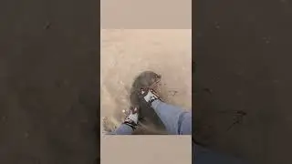 Seal Stuck in Fishing Line - Ozzy Man Quickies!