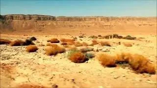 Tinariwen ~ Toumast Tincha