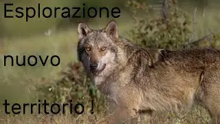Fotografia Naturalistica - Esplorazione nuovo territorio