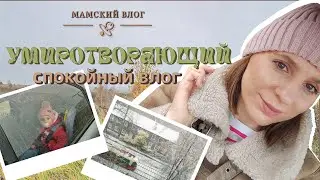 УМИРОТВОРЯЮЩИЙ спокойный влог🧡 Переживаю новые осознания, мой ТВОРЧЕСКИЙ ОТПУСК и романтика жизни.