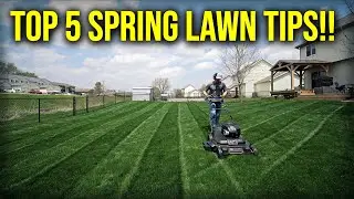 Top 5 Spring Lawn Tips 2024!!