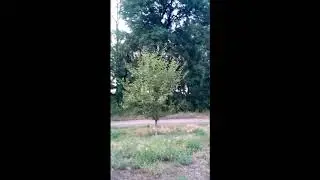 Обстрел 20 07 2020