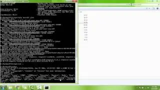 PIP Usage