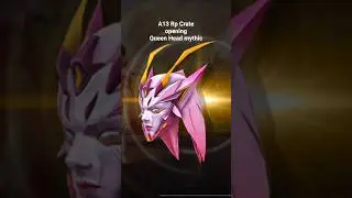 A13 Rp Crate Opening