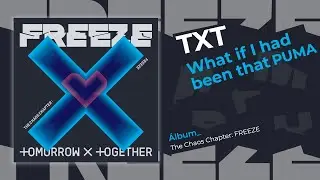 TXT - WHAT IF I HAD BEEN THAT PUMA (Sub Español | Hangul | Roma)