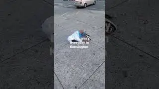 Everyday in Kensington