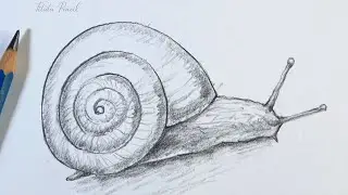 How to Draw a Snail Step by Step | Pencil drawing