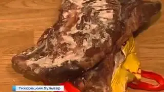 В Москве задержаны торговцы тигриным мясом