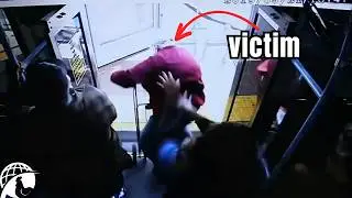 50 Disturbing Clips Proving Humanity Deserves Extinction [Vol. 2]