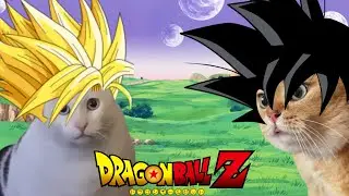 CAT MEMES : Dragon Ball