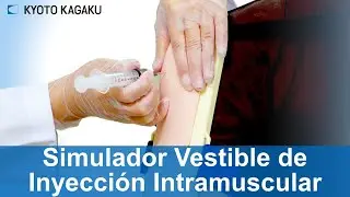Simulador Vestible de Inyeccion Intramuscular M67C Kyoto Kagaku