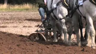 The 2012 Fairford,Faringdon,Filkins and Burford Ploughing Match and Country Show