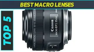 Best Macro Lenses 2023