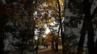 Парк