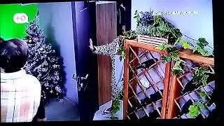 Дом2 Алена не пускает Никиту