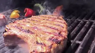 Asador de carbón Performance 580